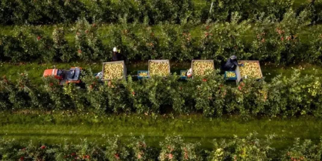 Dünyanın en büyük 15 tarım ekonomisi açıklandı! Türkiye kaçıncı sırada? 3